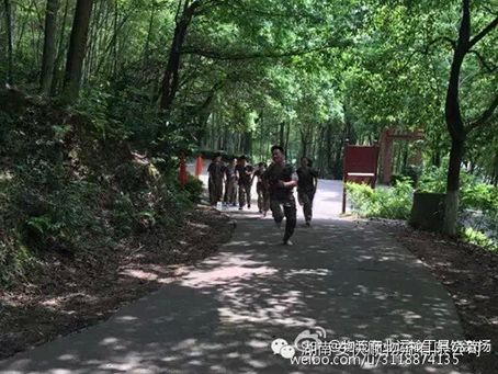 &#72;&#74;&#67;&#40644;&#37329;&#22478;