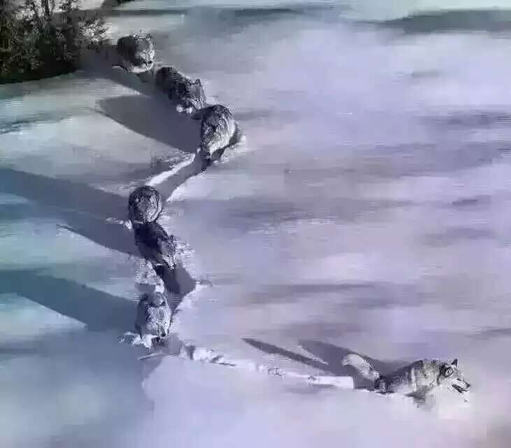 &#72;&#74;&#67;&#40644;&#37329;&#22478;